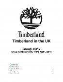 B312 Group Report for Timberland