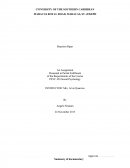 Psy 450 - Social Psychology