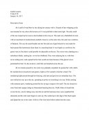 Descriptive Essay