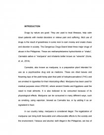 Thesis For Argumentative Essay Examples Essay Preview Marijuana To Be Legalized In The Phillipines Zoom Zoom Writing Service That also Personal Essay Thesis Statement Marijuana To Be Legalized In The Phillipines Essay Essays For High School Students
