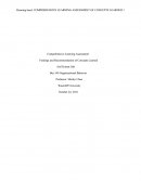 Comprehensive Assignment on the Organizational Behavior