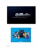 Gillette Case Study