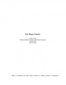 Insight into the Black Family