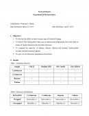 Lab Report on Hydrocarbons