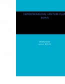 Entrepreneurial Venture Plan