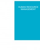 Management Principles Portfolio Project