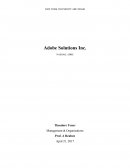 Adobe Solutions Inc. Case Study