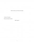 Publix Company and Financial Analysis