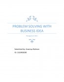 Management 368 - Problem Solving with Business Idea
