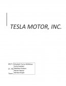 Tesla Motors, Inc.