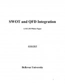Wal-Mart Swot and Qfd Integration