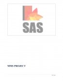 Mms Project by Sas Institute of Management Studies.