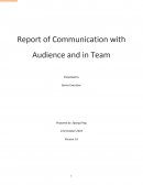 Business Report of Communication with Audience and in Team
