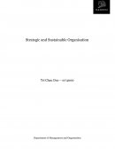 Strategic and Sustainable Organisation