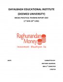 Research on Raghunandan Money